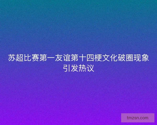 苏超比赛第一友谊第十四梗文化破圈现象引发热议